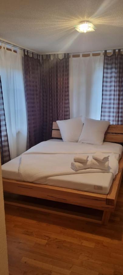 Sofia Apartment - Aare Jungfrau Ag 维尔德斯韦尔 外观 照片