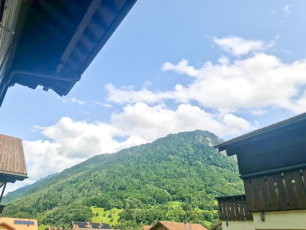 Sofia Apartment - Aare Jungfrau Ag 维尔德斯韦尔 外观 照片