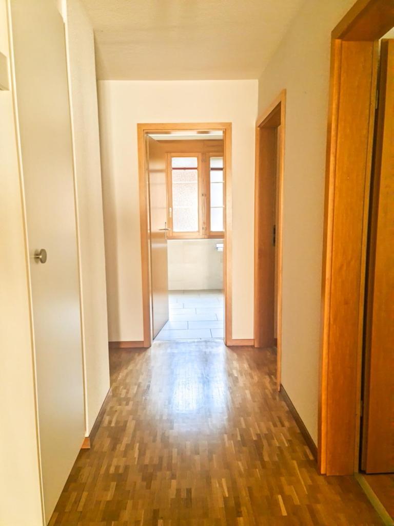 Sofia Apartment - Aare Jungfrau Ag 维尔德斯韦尔 外观 照片